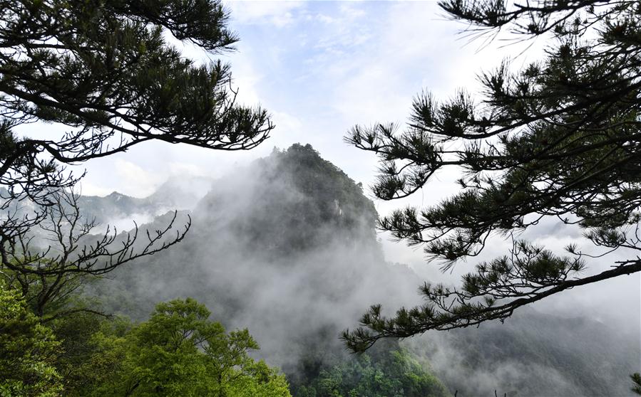 CHINA-SHAANXI-HANZHONG-SCENERY (CN)