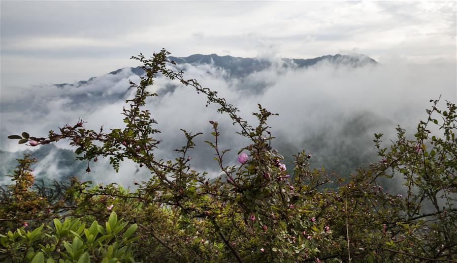 CHINA-SHAANXI-HANZHONG-SCENERY (CN)