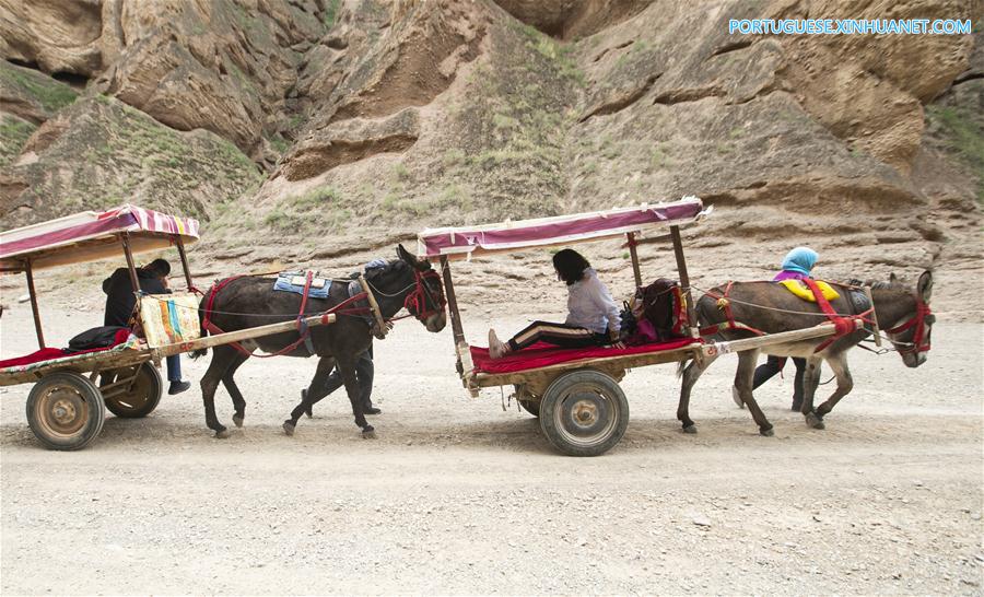 CHINA-GANSU-JINGTAI-DONKEY RIDE-BUSINESS (CN)