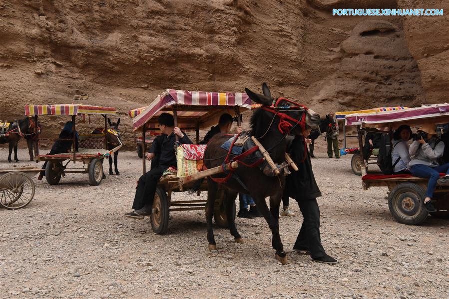CHINA-GANSU-JINGTAI-DONKEY RIDE-BUSINESS (CN)