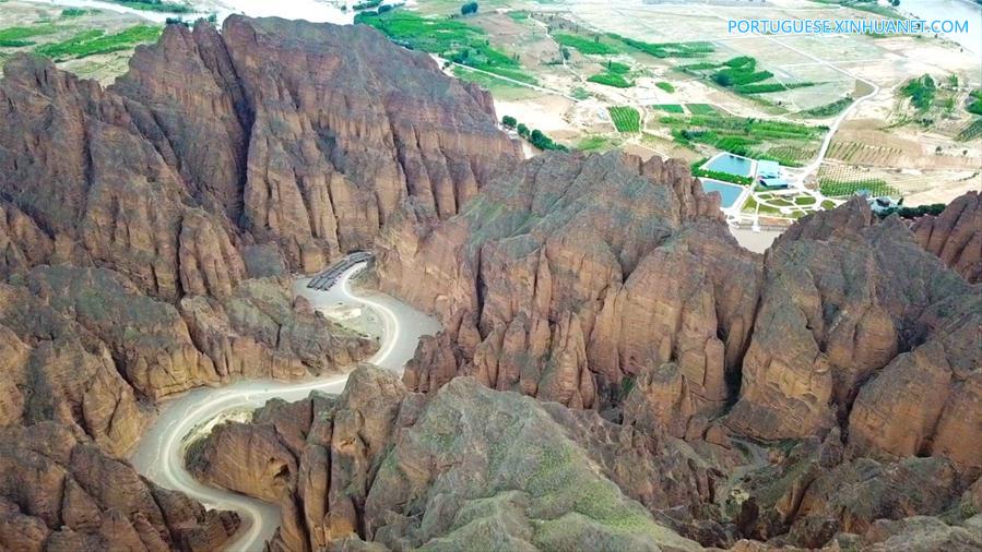 CHINA-GANSU-JINGTAI-DONKEY RIDE-BUSINESS (CN)