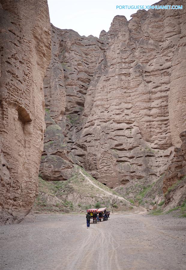 CHINA-GANSU-JINGTAI-DONKEY RIDE-BUSINESS (CN)