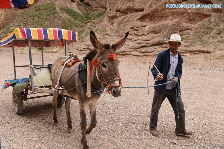 CHINA-GANSU-JINGTAI-DONKEY RIDE-BUSINESS (CN)