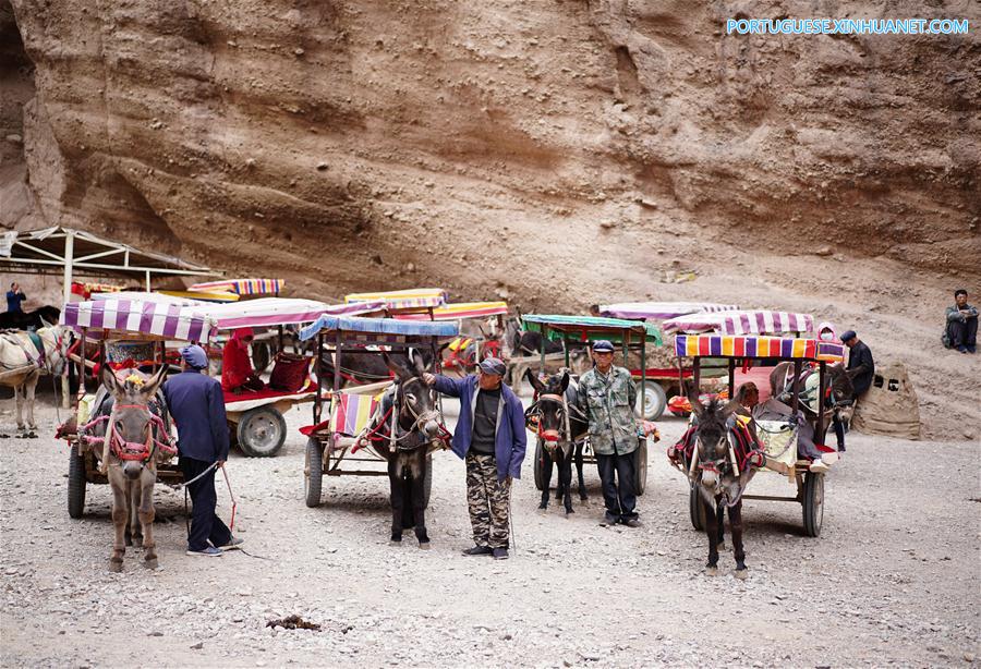 CHINA-GANSU-JINGTAI-DONKEY RIDE-BUSINESS (CN)
