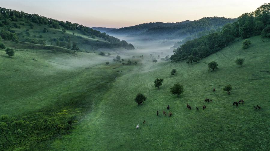 CHINA-SHAANXI-BAOJI-GUANSHAN GRASSLAND (CN)