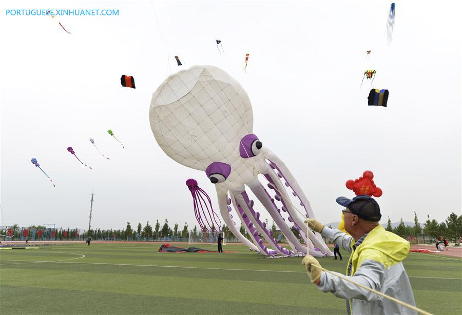 #CHINA-INNER MONGOLIA-BAOTOU-KITE FLYING CONTEST (CN)