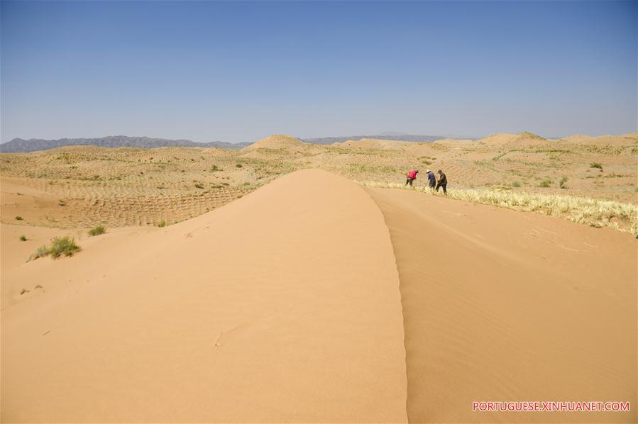 CHINA-NINGXIA-ZHONGWEI-DESERT CONTROL(CN)