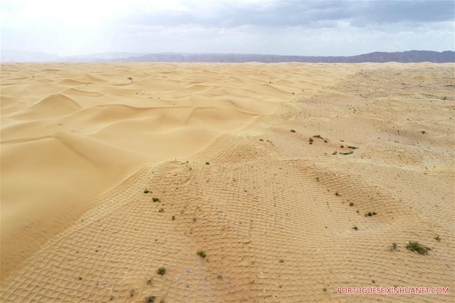 CHINA-NINGXIA-ZHONGWEI-DESERT CONTROL(CN)