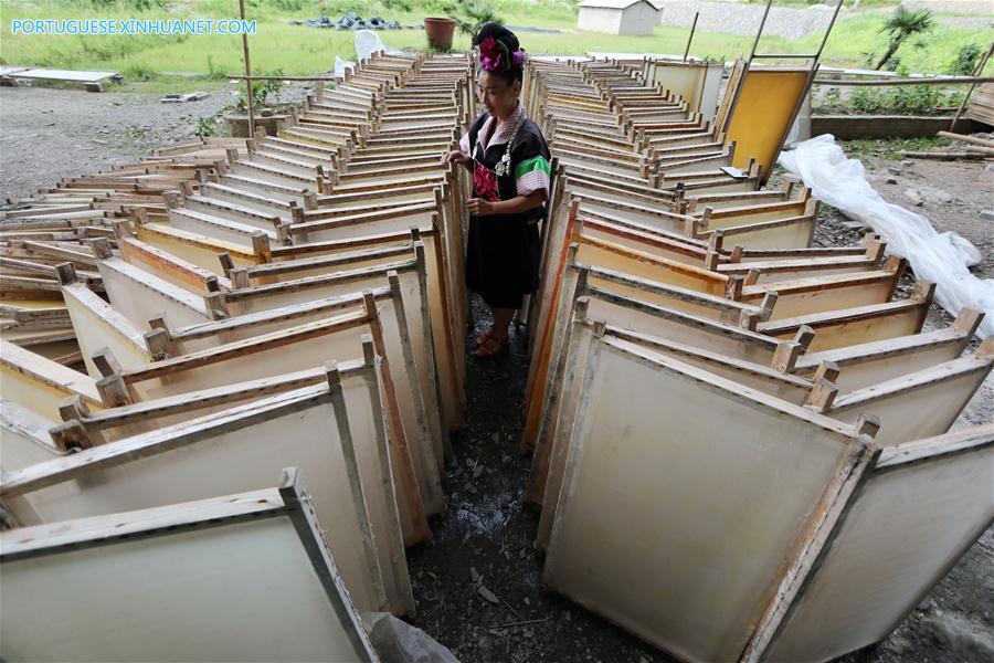 CHINA-GUIZHOU-DANZHAI-TRADITIONAL PAPER MAKING (CN)