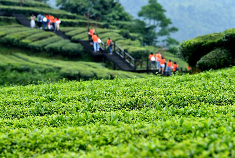 #CHINA-HUBEI-ENSHI-TOURISM (CN)