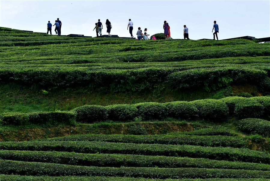 #CHINA-HUBEI-ENSHI-TOURISM (CN)