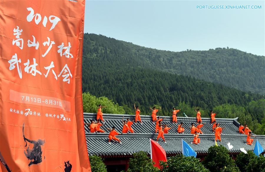 CHINA-HENAN-SHAOLIN-MARTIAL ARTS-PERFORMANCE(CN)