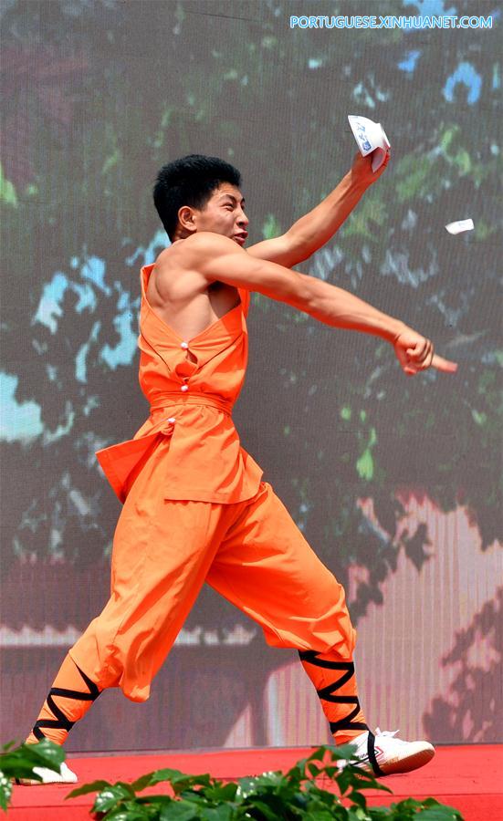 CHINA-HENAN-SHAOLIN-MARTIAL ARTS-PERFORMANCE(CN)