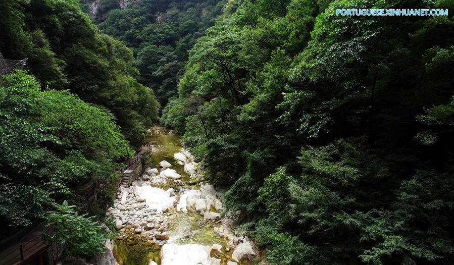 CHINA-SHAANXI-FOREST PARK-SCENERY (CN)