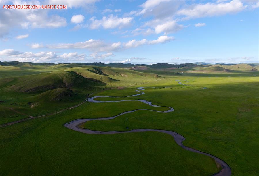 CHINA-INNER MONGOLIA-PASTURE SCENERY (CN)