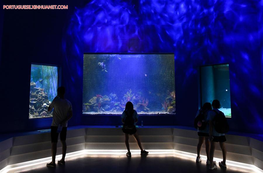 CHINA-HAINAN-SOUTH CHINA SEA-MUSEUM-SUMMER VACATION (CN)