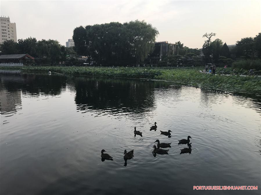 (BeijingCandid)CHINA-BEIJING-SUMMER (CN)