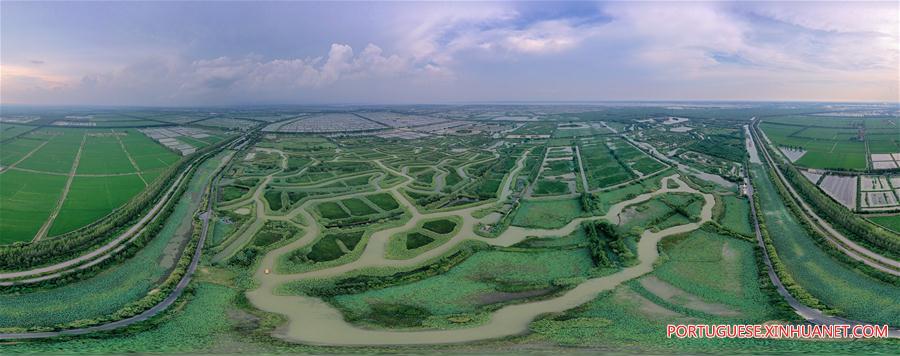 CHINA-JIANGSU-HONGZE LAKE (CN)