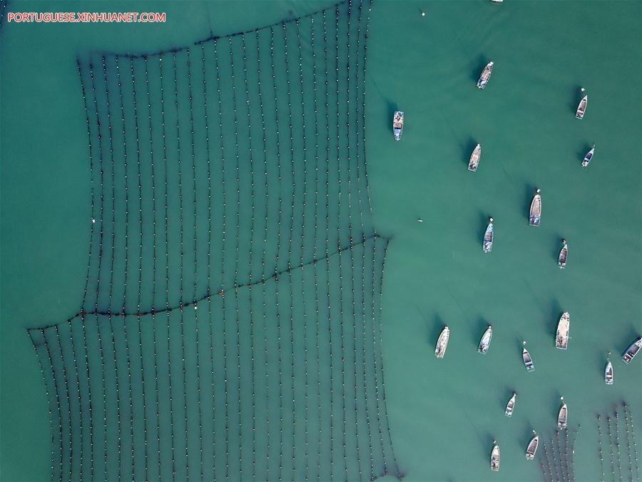 CHINA-SUMMER SCENERY-AERIAL VIEW (CN)