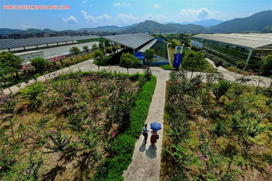 CHINA-FUJIAN-PV POWER-AGRICULTURAL GARDEN (CN)