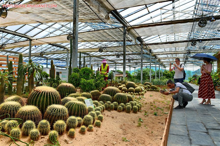 CHINA-FUJIAN-PV POWER-AGRICULTURAL GARDEN (CN)