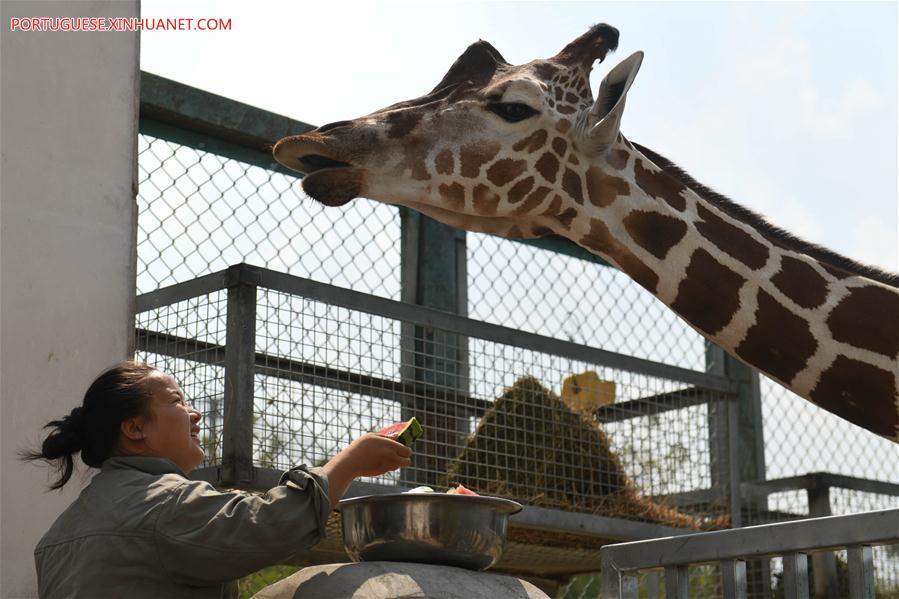 CHINA-ANHUI-HEFEI-ZOO-WEATHER (CN)