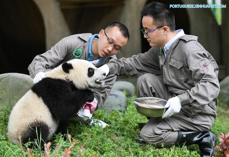 (EcoChina)CHINA-HORTICULTURAL EXPO-SICHUAN (CN)