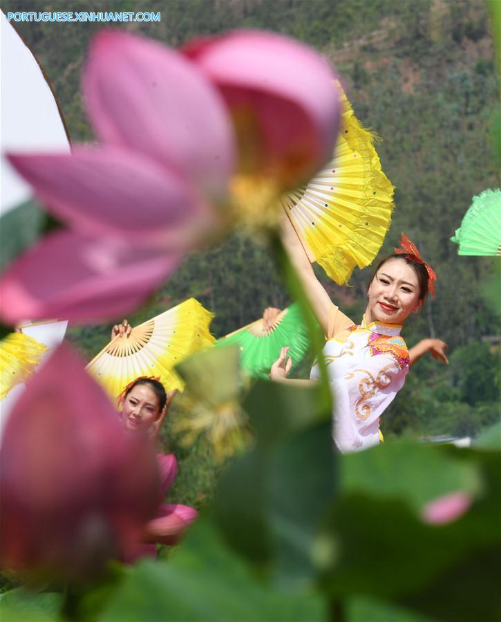 CHINA-YUNNAN-LOTUS FLOWERS (CN)