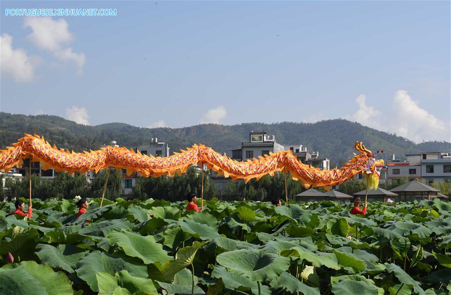 CHINA-YUNNAN-LOTUS FLOWERS (CN)