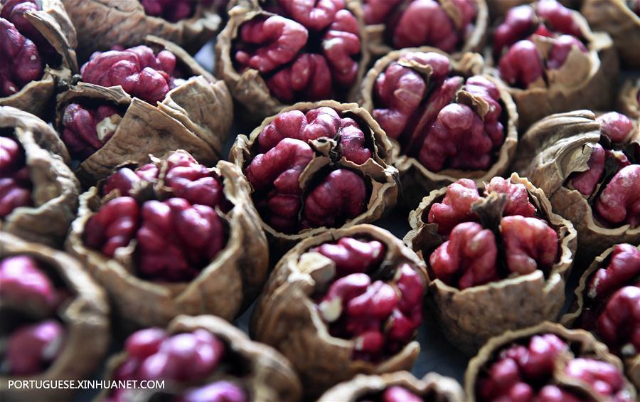 CHINA-SHAANXI-LUONAN-WALNUT(CN)