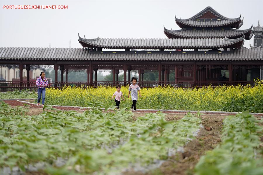 CHINA-HEBEI-AGRICULTURE-TOURISM (CN)