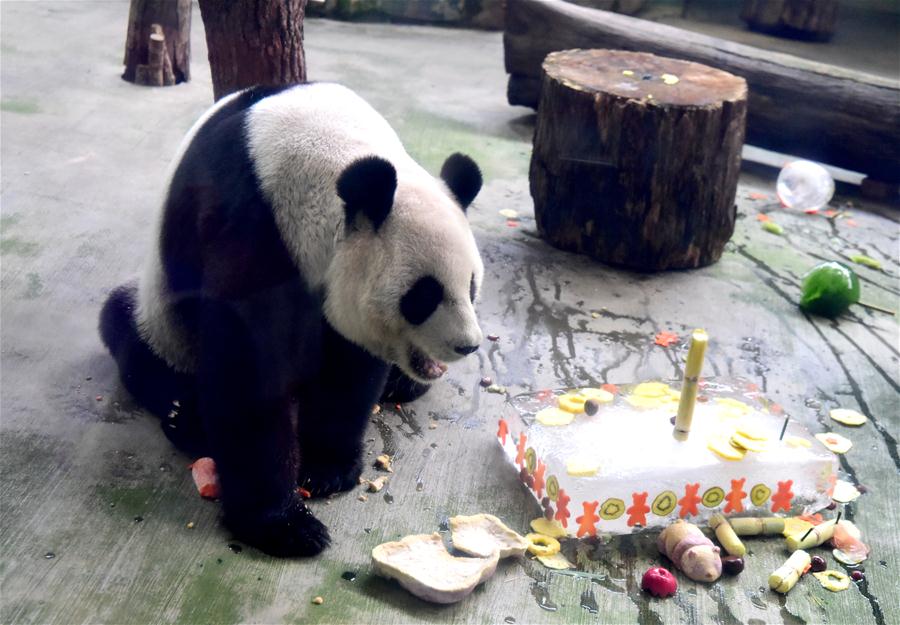 CHINA-TAIPEI-GIANT PANDAS-BIRTHDAY (CN)