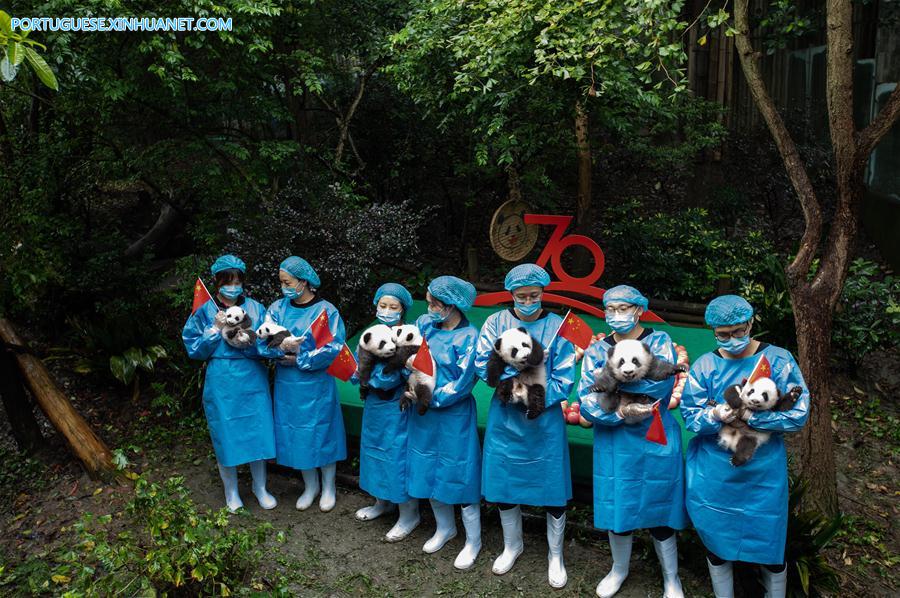 CHINA-CHENGDU-GIANT PANDA-CUBS (CN)