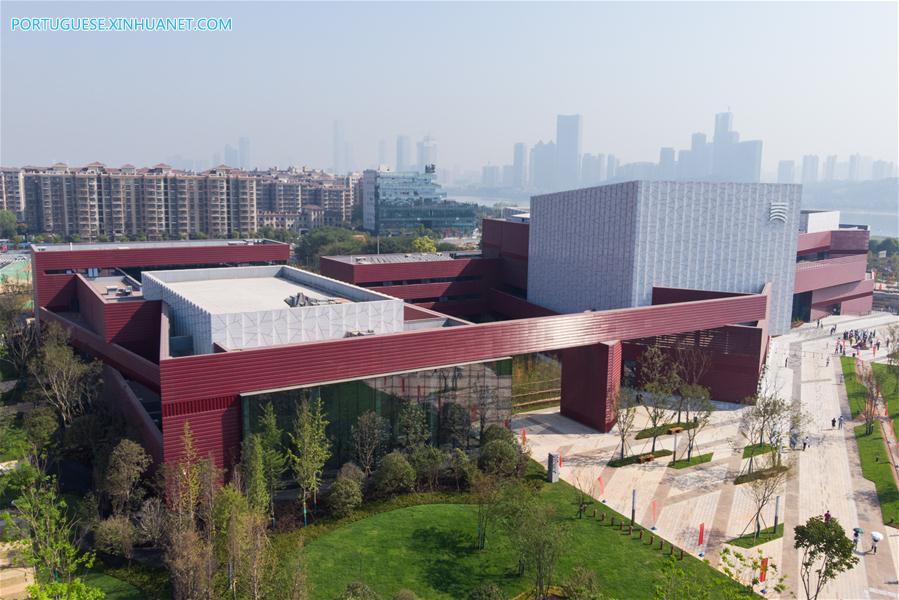 CHINA-HUNAN-CHANGSHA-ART MUSEUM (CN)