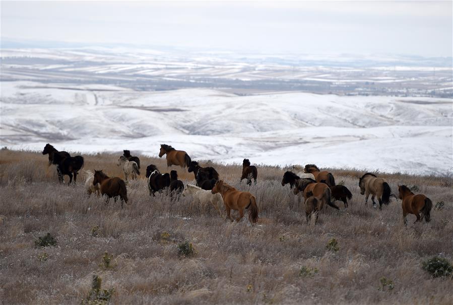 CHINA-INNER MONGOLIA-DAQING MOUNTAIN-SNOW-SCENERY (CN)