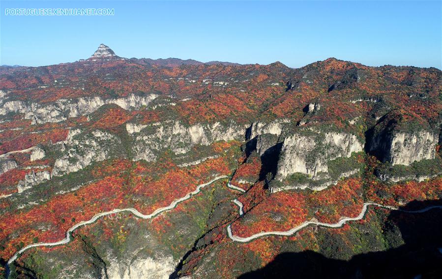 CHINA-HEBEI-PINGSHAN COUNTY-AUTUMN SCENERY-RED LEAF (CN)