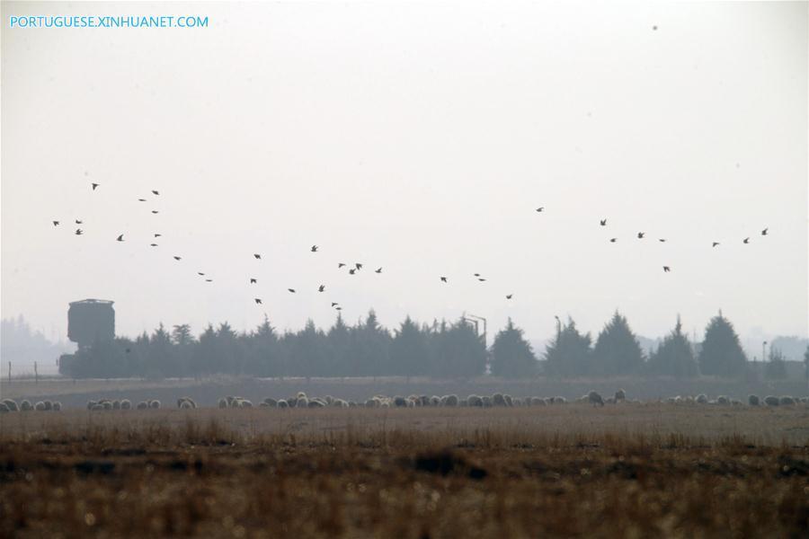 TURKEY-ANKARA-ANTI-MISSILE DEDENSE SYSTEMS-TESTING