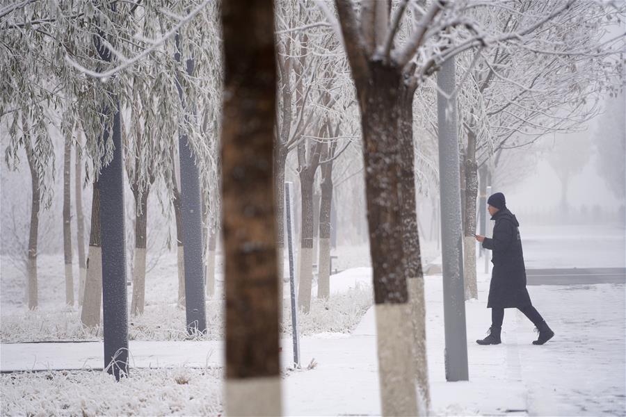CHINA-HEBEI-XIONG'AN-SNOW