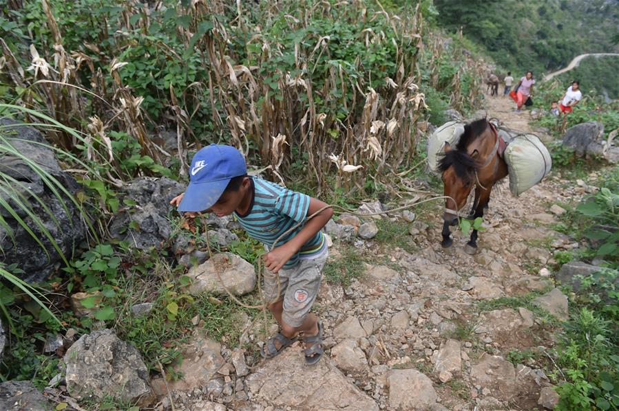 CHINA-GUANGXI-DAHUA-POVERTY ALLEVIATION (CN)