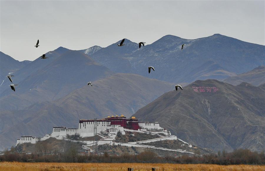 CHINA-TIBET-LHASA-LHALU WETLAND (CN)