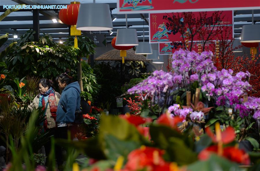 CHINA-HUNAN-CHINESE NEW YEAR-FLOWER ECONOMY (CN)