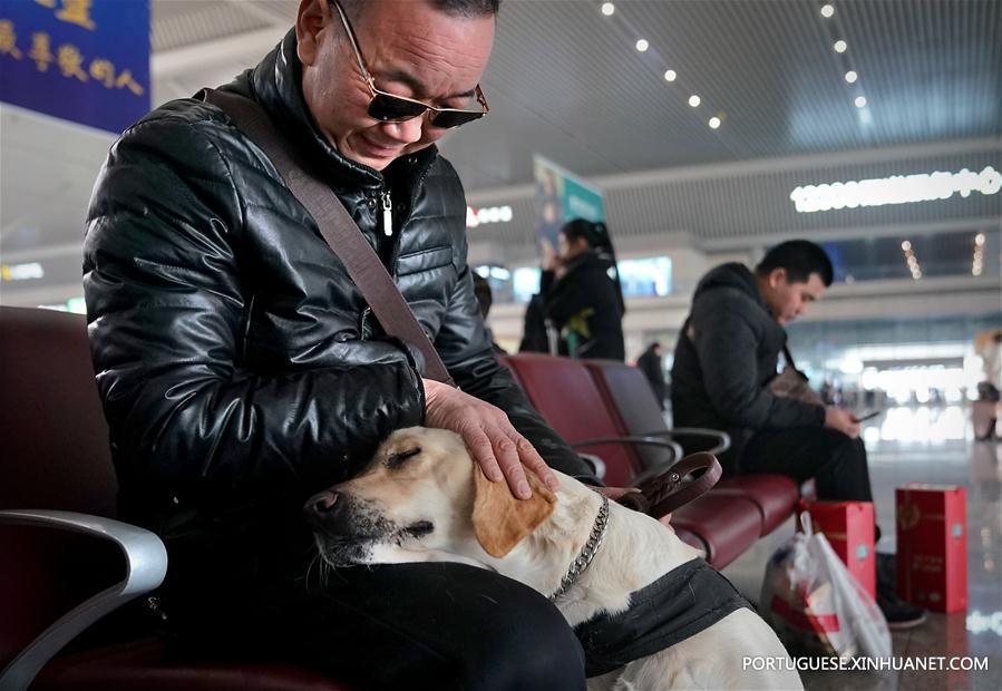 CHINA-HENAN-ZHENGZHOU-GUIDE DOG-SPRING FESTIVAL TRAVEL RUSH (CN)