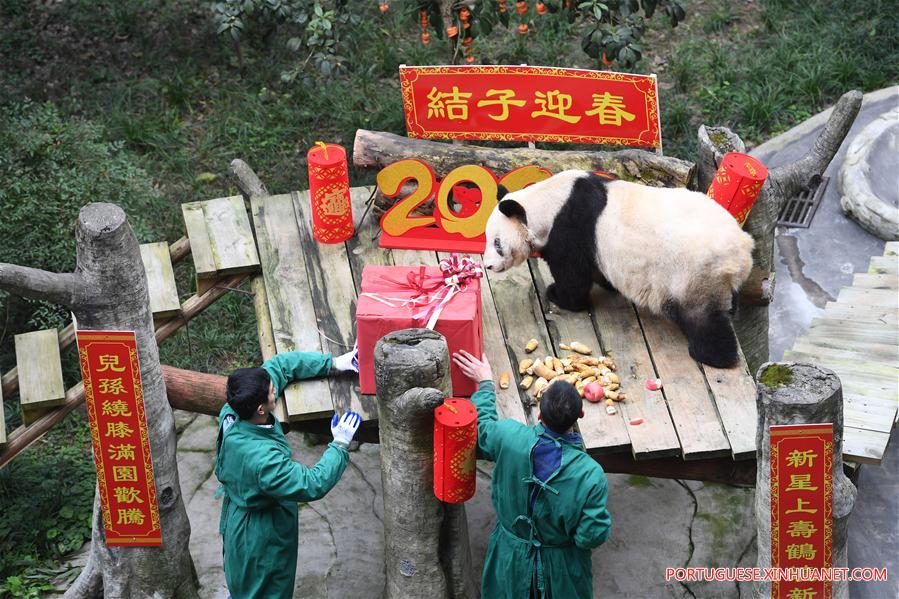 CHINA-CHONGQING-GIANT PANDAS-NEW YEAR GREETING (CN)