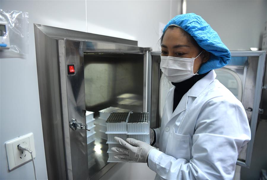 CHINA-HENAN-NUCLEIC ACID TEST KIT-PRODUCTION (CN)