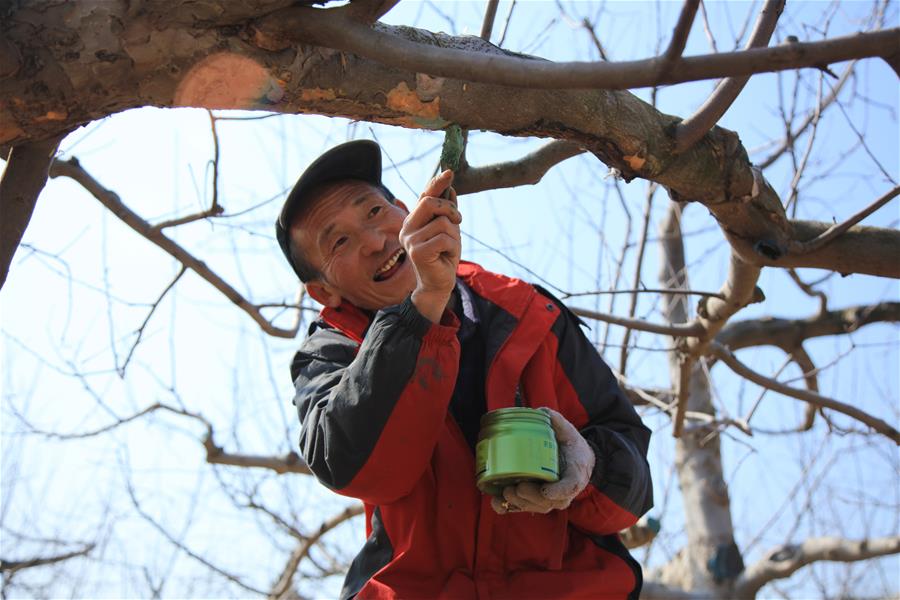 #CHINA-EARLY SPRING-FARMING (CN)