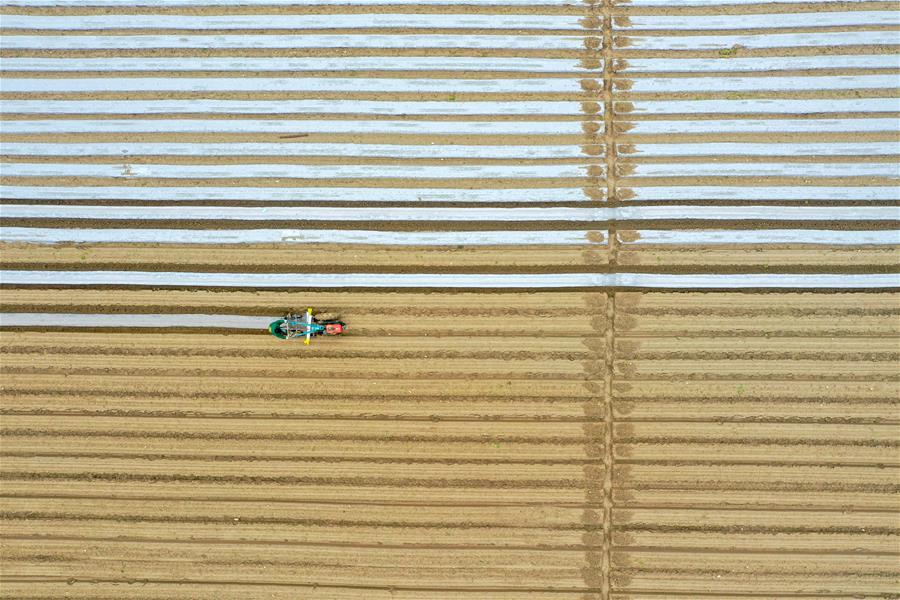 #CHINA-EARLY SPRING-FARMING (CN)