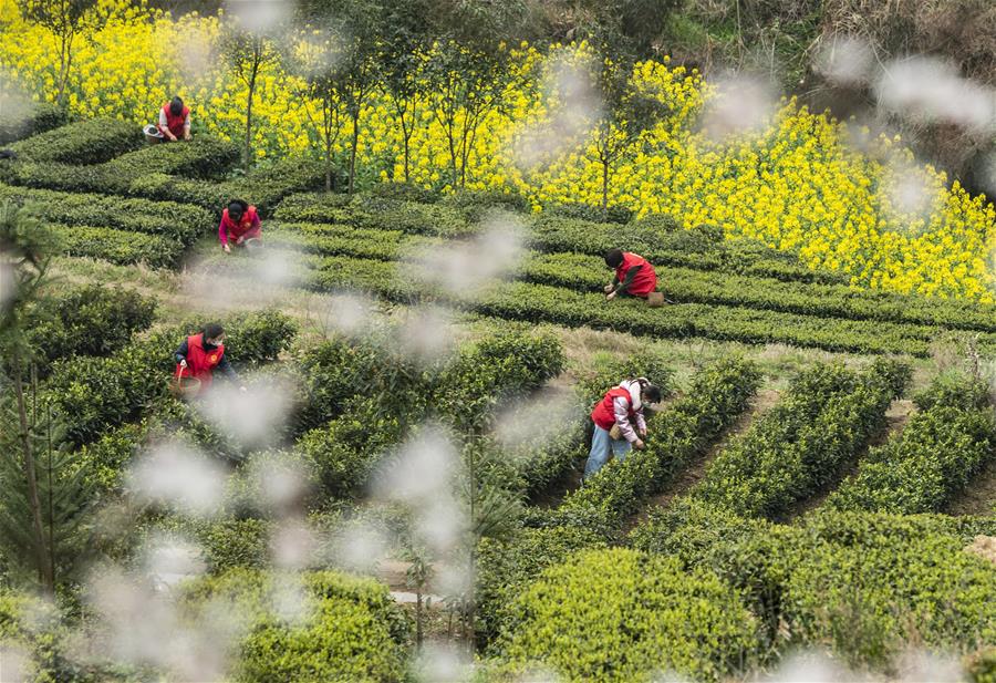 #CHINA-EARLY SPRING-FARMING (CN)