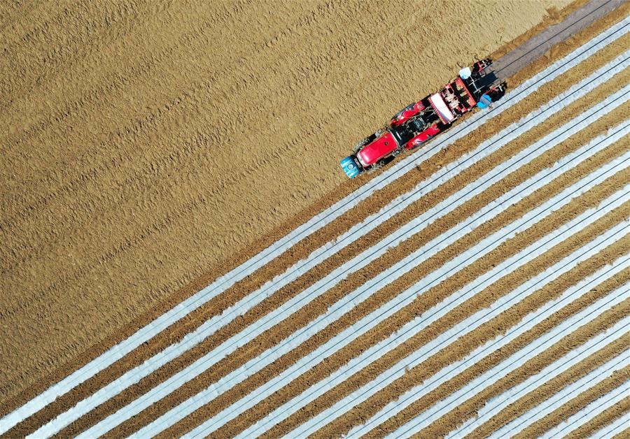 #CHINA-EARLY SPRING-FARMING (CN)
