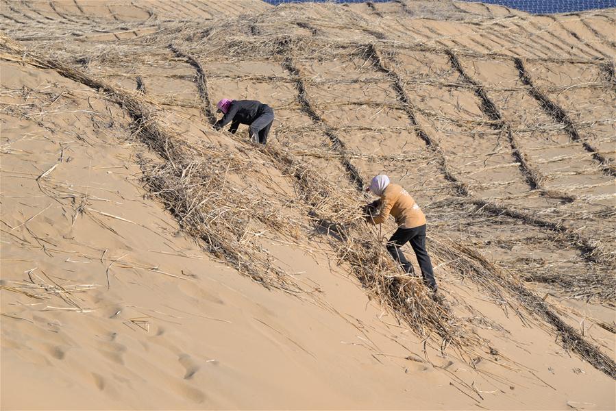 CHINA-INNER MONGOLIA-KUBUQI DESERT-DESERTIFICATION CONTROL (CN)