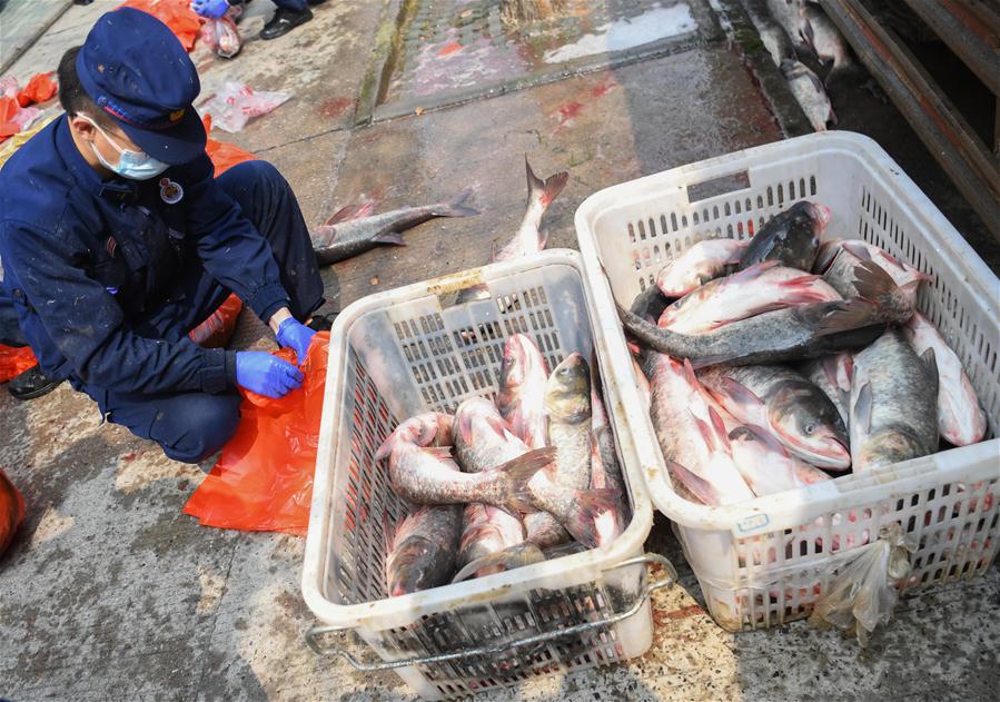 CHINA-HUBEI-WUHAN-COMMUNITY-FISH DISTRIBUTION (CN)